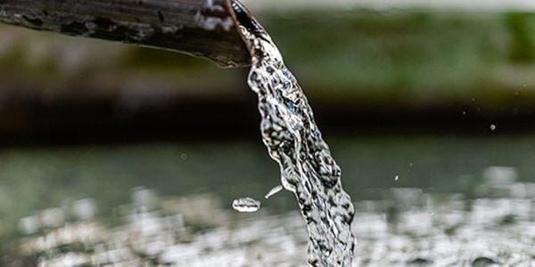 Cleansing and Forgiveness