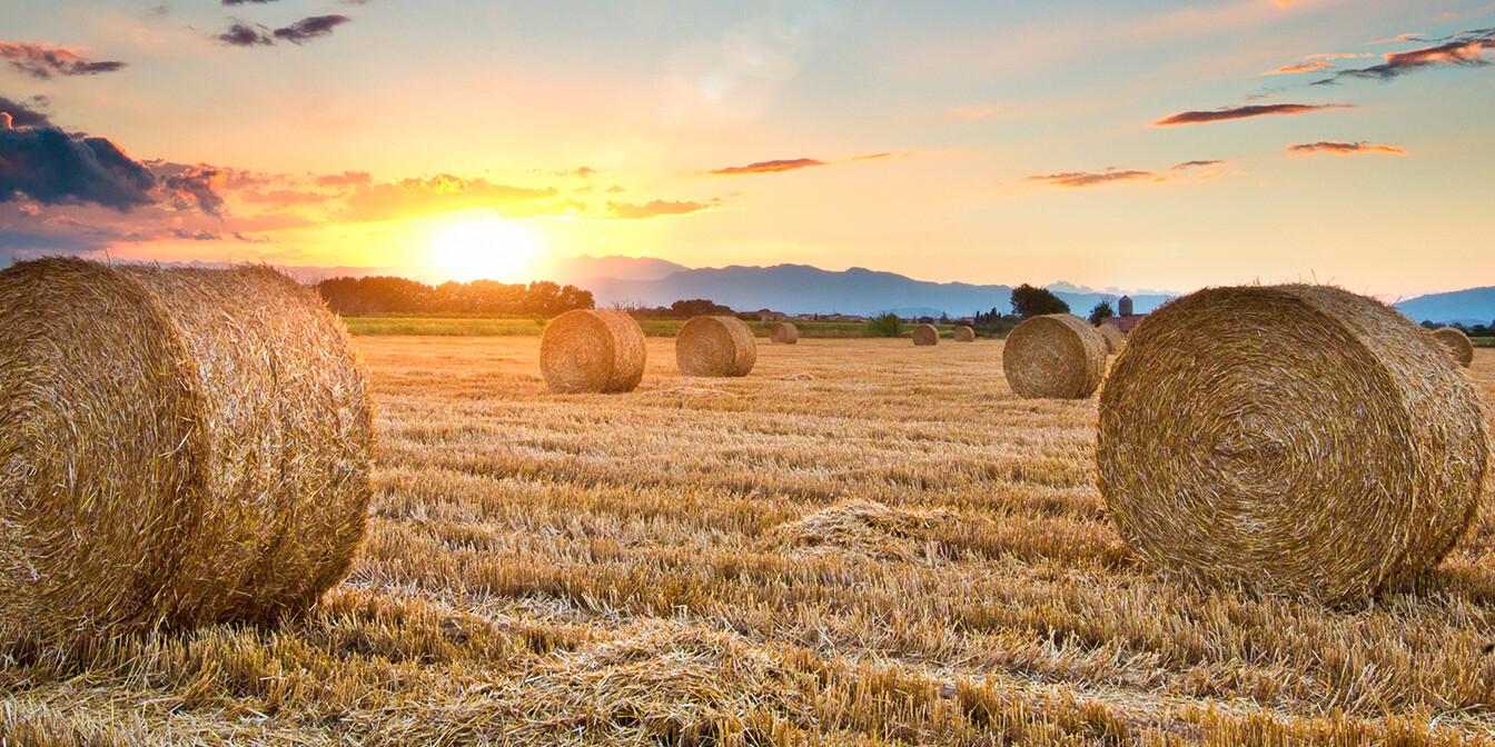 Keys to Double Portion Faith