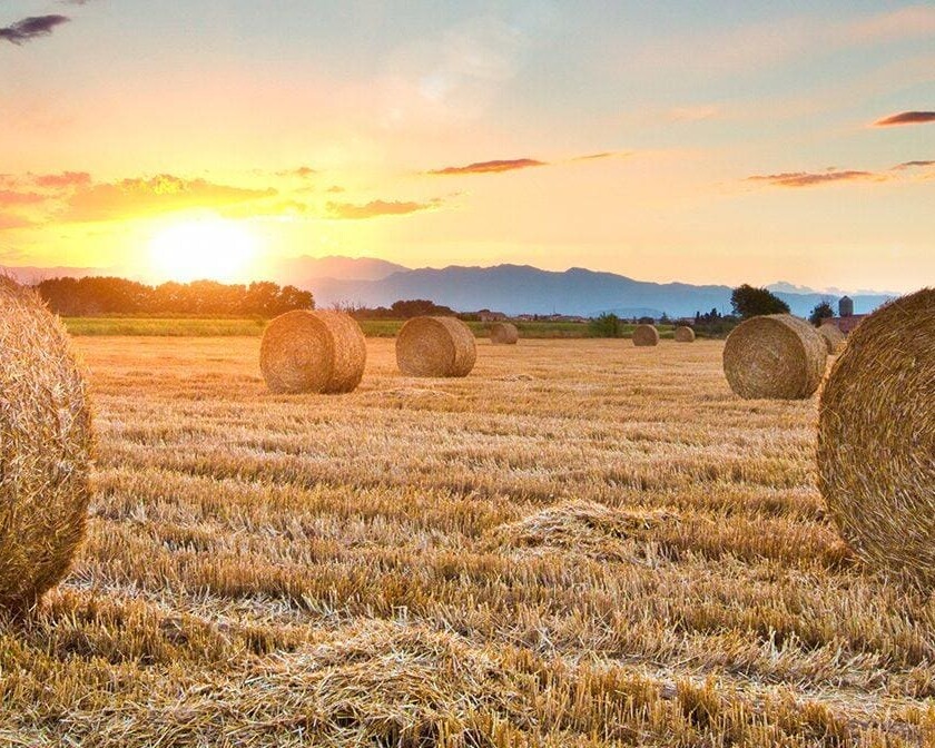 Keys to Double Portion Faith