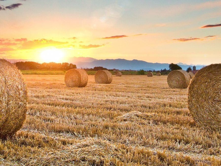 Keys to Double Portion Faith