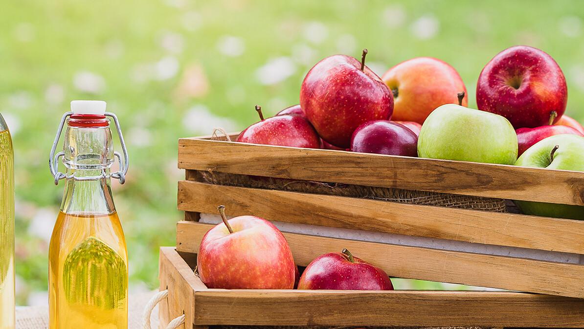 2X: Keys to Living a Double-Portion Life