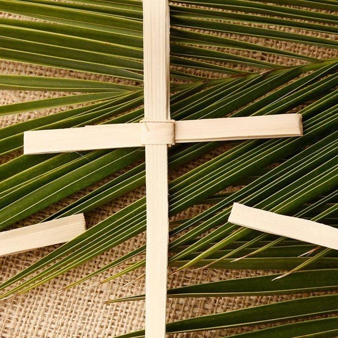 What Is the Message of Palm Sunday