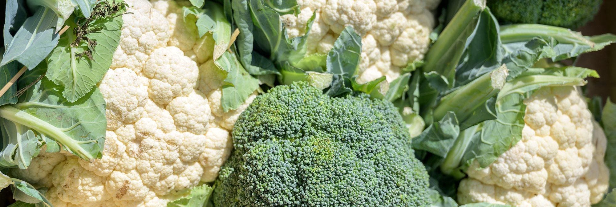 Food as Powerful Medicine (Part 3)