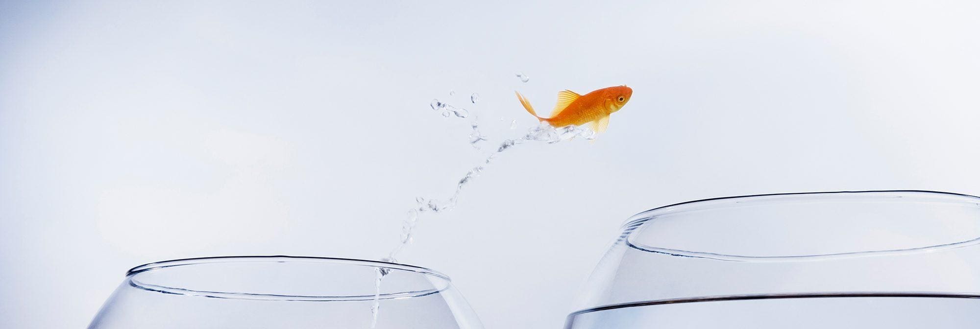 How to Crush the 3 Most Formidable Fears