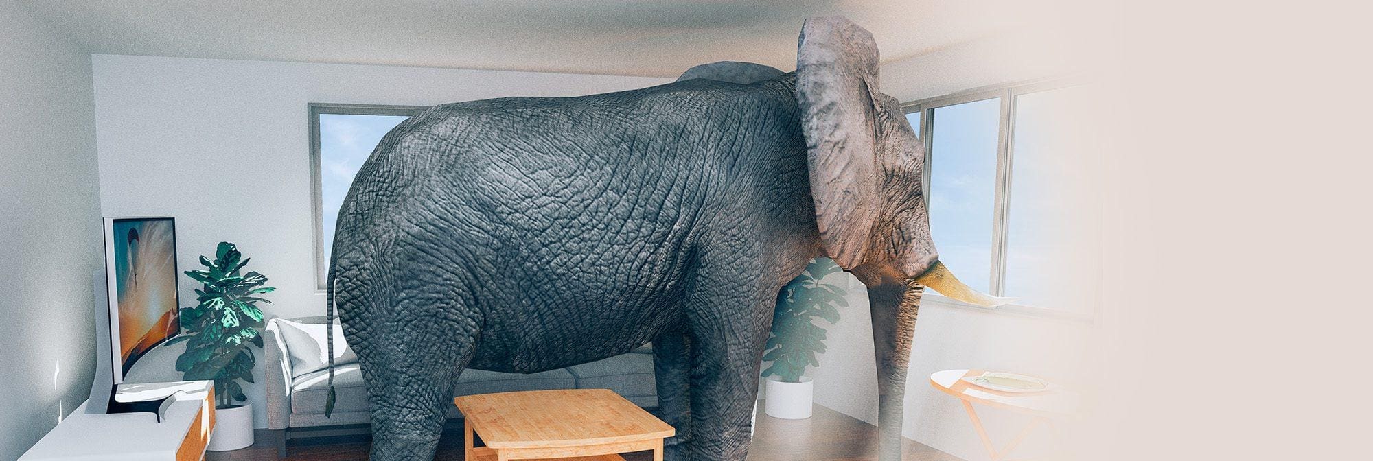 Anxiety Elephants, Part 1 Christian Articles Inspiration Ministries