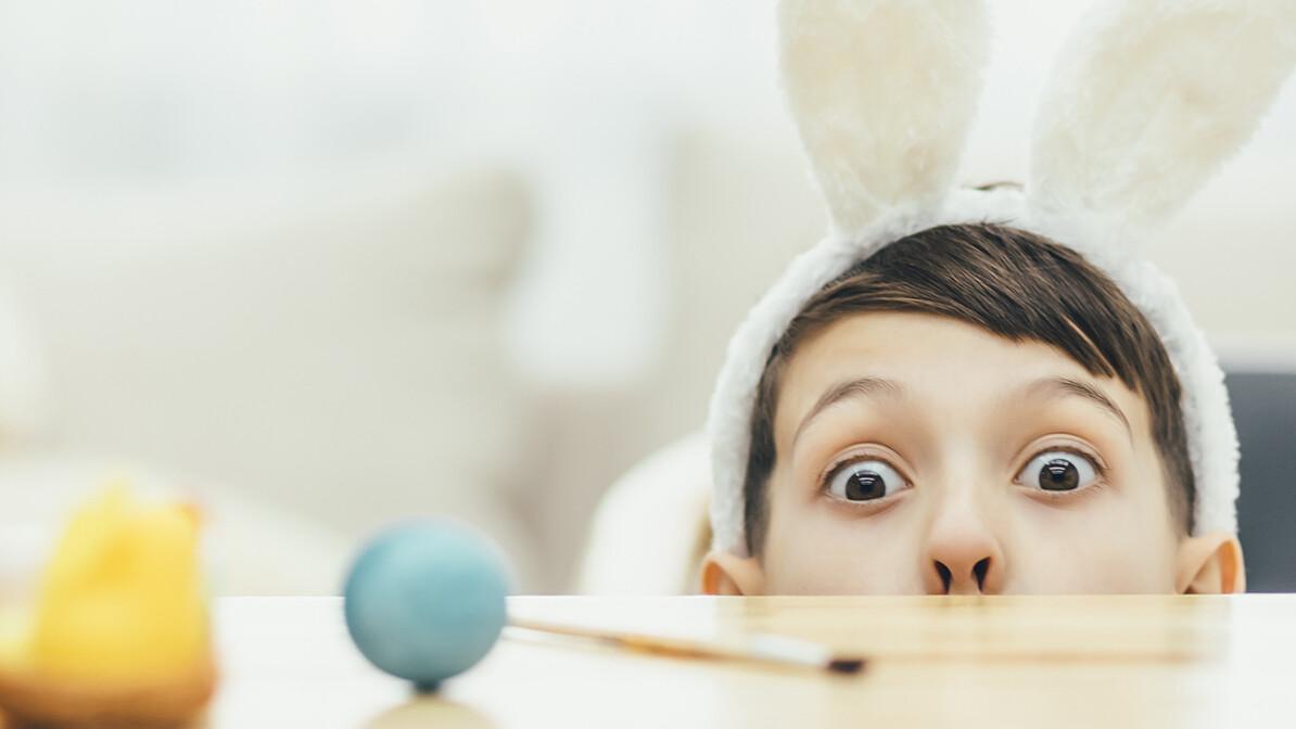 An Easter Bunny – and an Easter Story