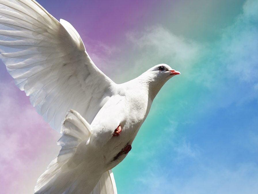 Will the Dove Remain