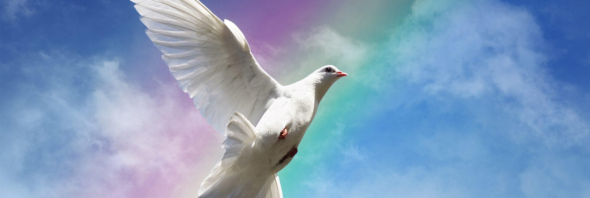 Will the Dove Remain? | Christian Articles | Inspiration Ministries