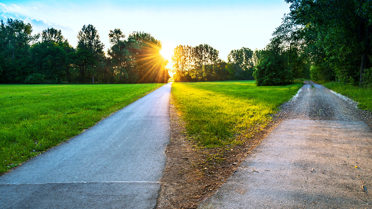 path through a sunlit field splitting in two different directions; God's favor