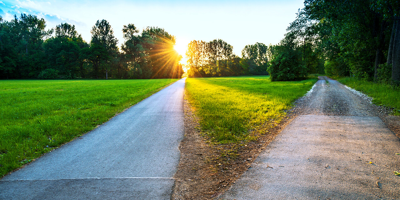path through a sunlit field splitting in two different directions; God's favor