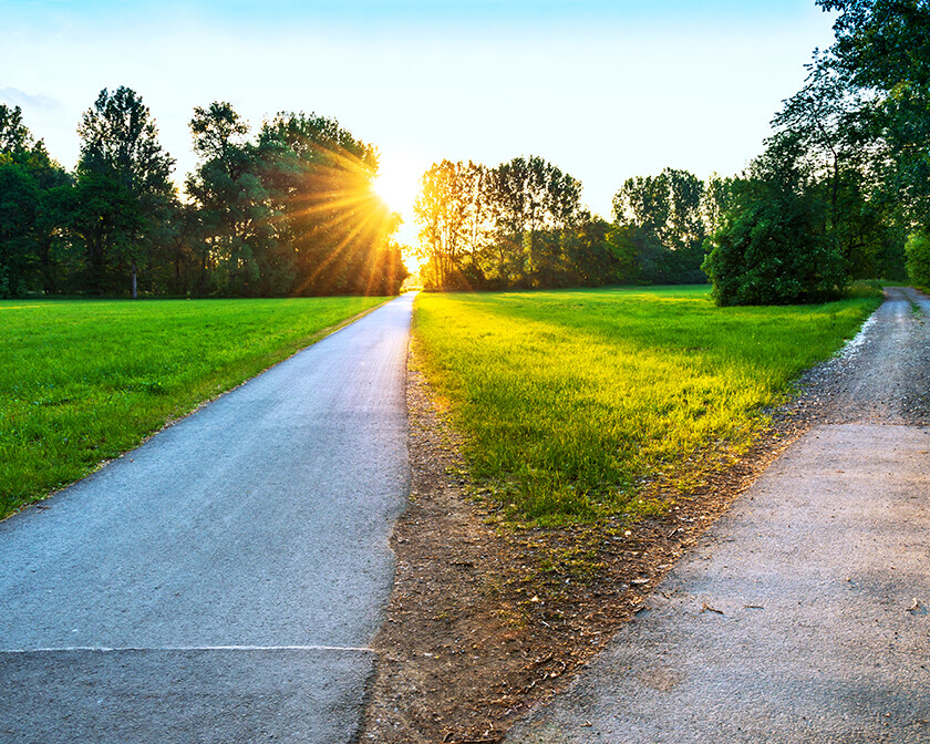 path through a sunlit field splitting in two different directions; God's favor