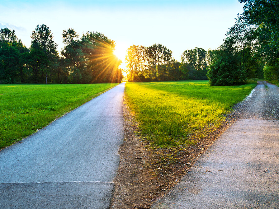 path through a sunlit field splitting in two different directions; God's favor