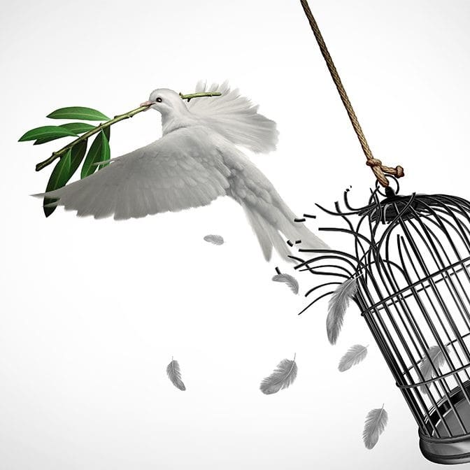 Becoming a prisoner of hope