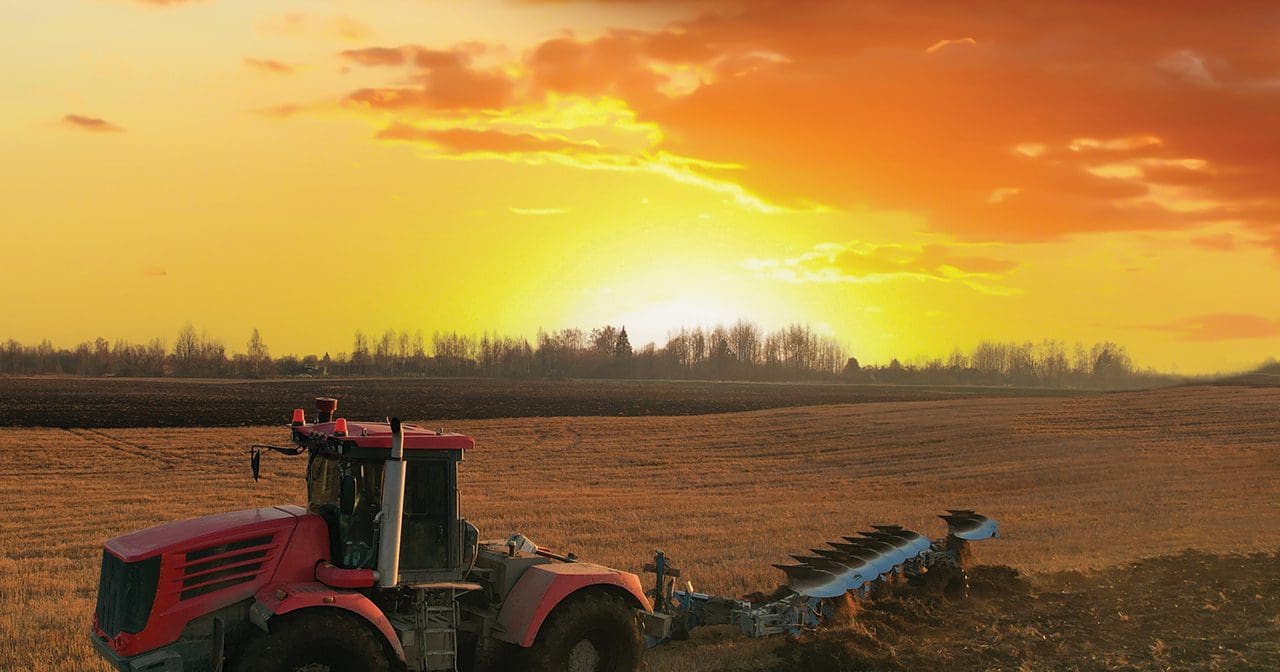 Sowing Seed Works