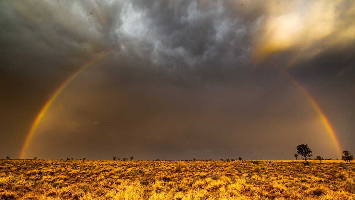 God’s Laws Lead You Out of Darkness