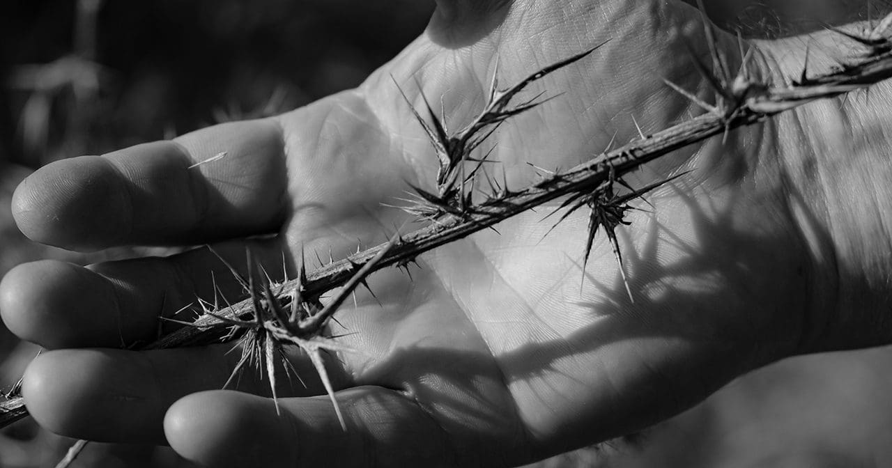 Thorn In The Flesh Inspiration Ministries thorn-in-the-flesh-inspiration-ministries