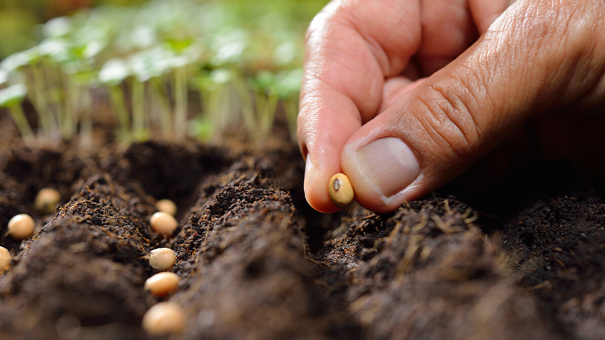 Specific Seeds