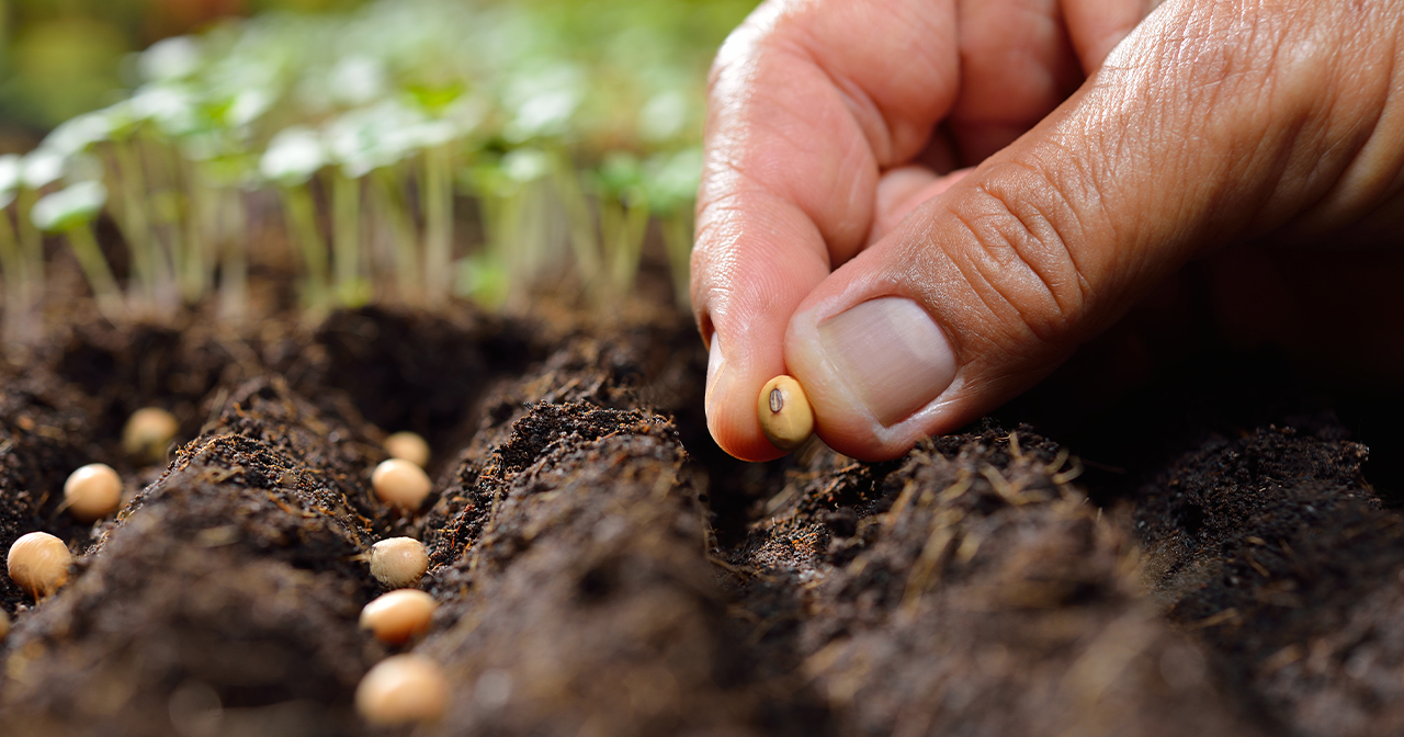 Specific Seeds