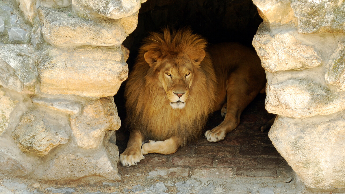 Supernatural Favor