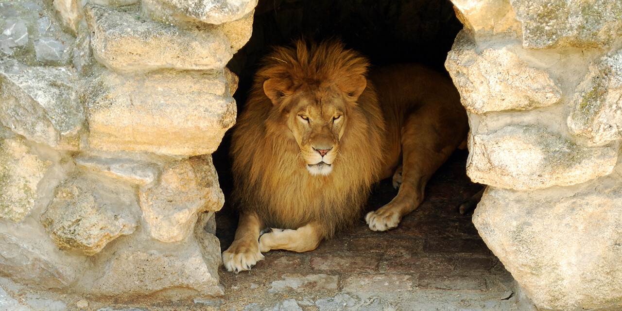 Supernatural Favor