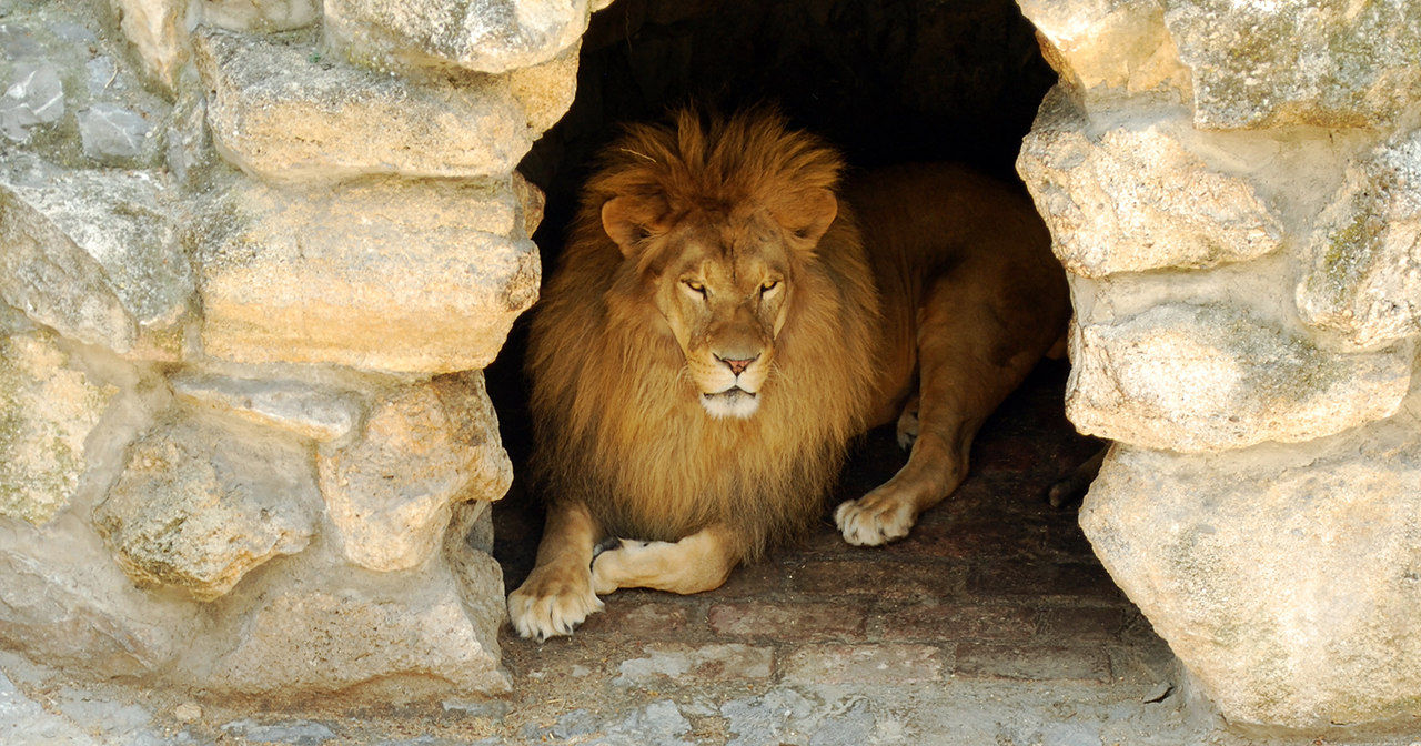 Supernatural Favor