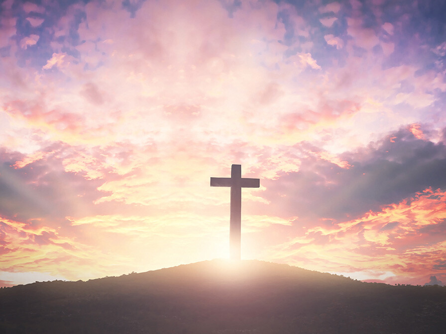 Discover the true meaning of Holy Week as we follow in Jesus' steps leading to the cross.