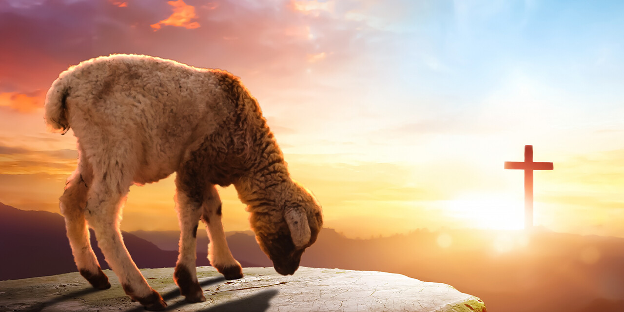 Your Passover Lamb