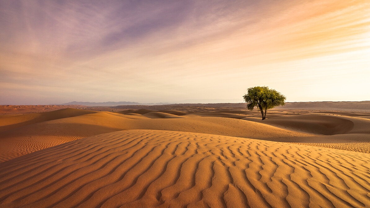 The Resurrection Power of Jesus