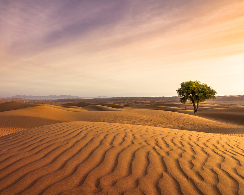 The Resurrection Power of Jesus