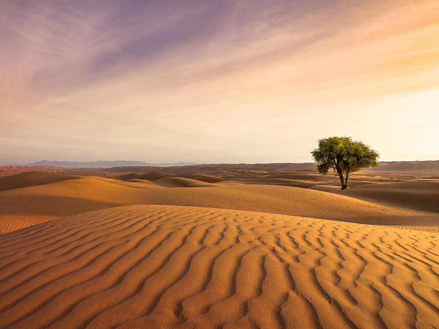 The Resurrection Power of Jesus