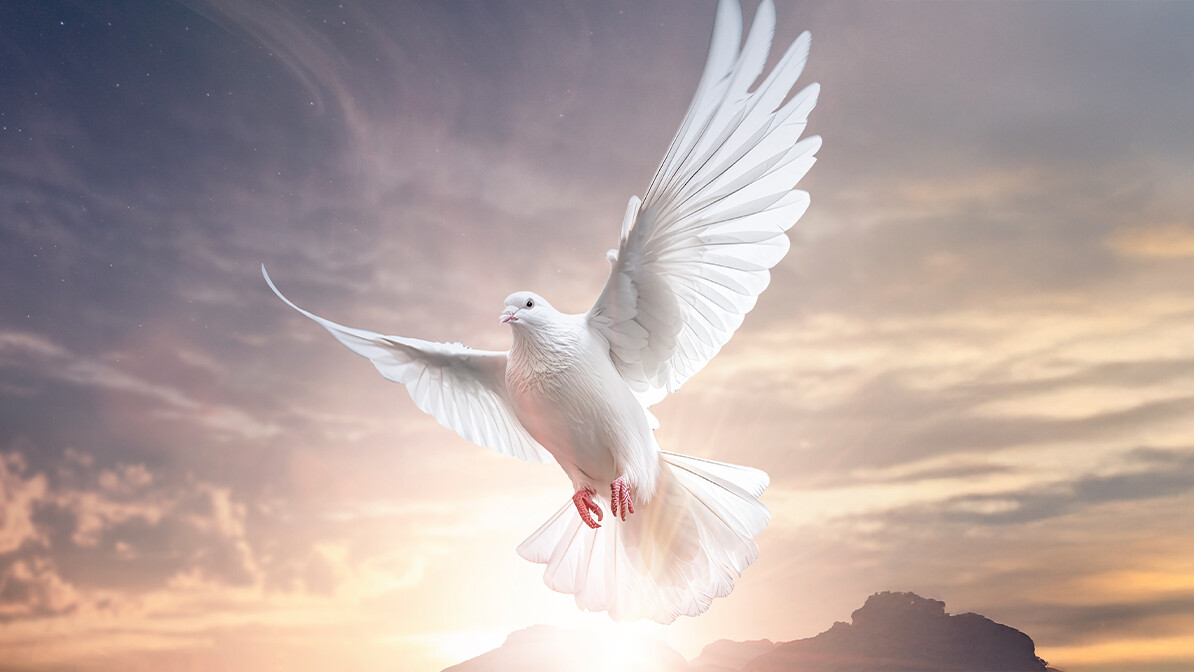 Celebrate Pentecost