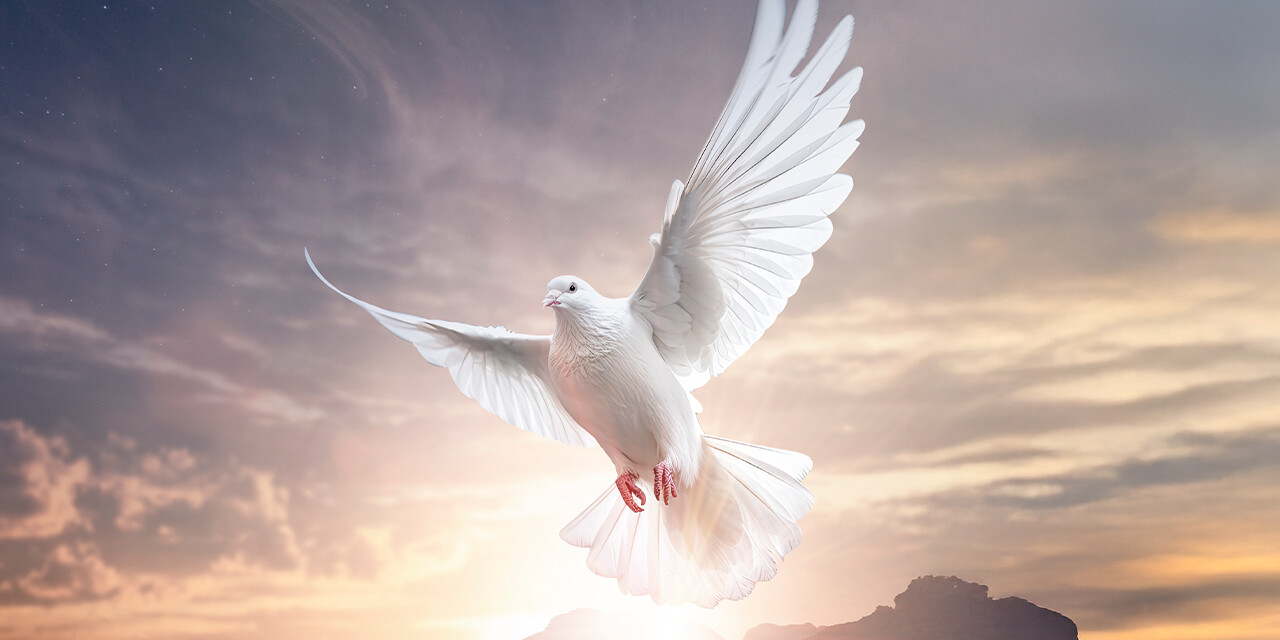 Celebrate Pentecost