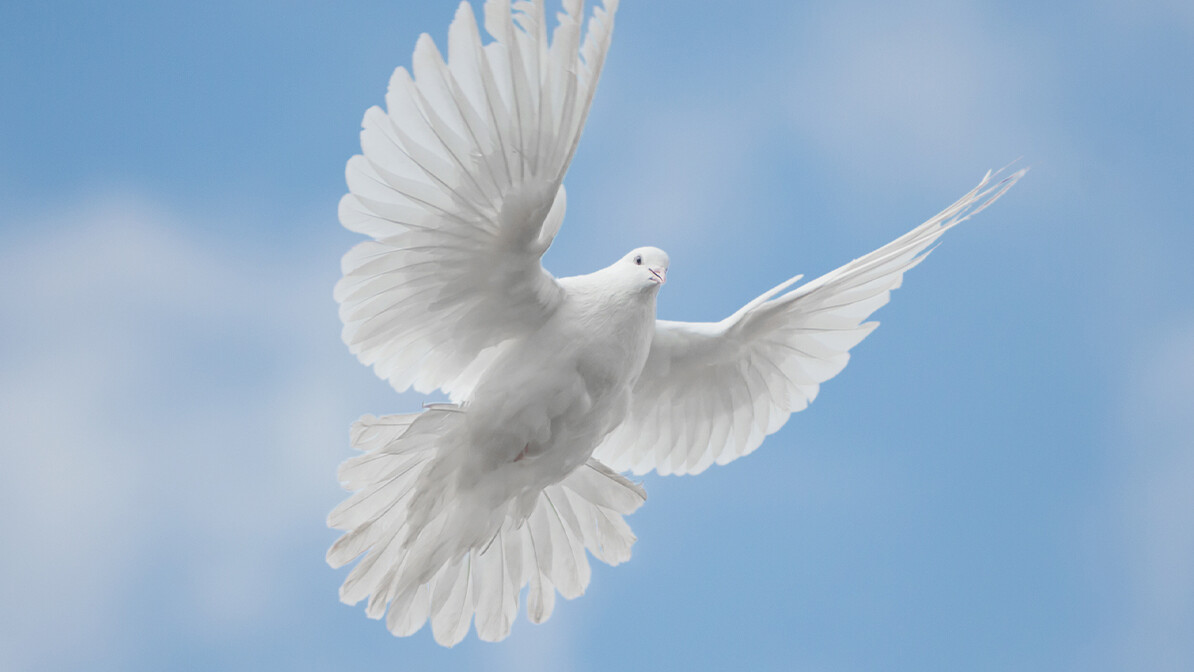 Sovereign Spirit