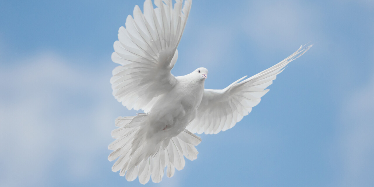 Sovereign Spirit