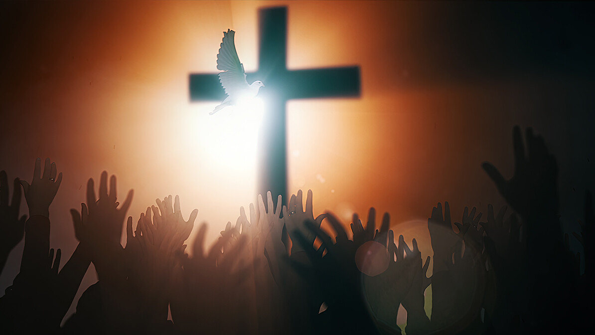 Everyday Miracles