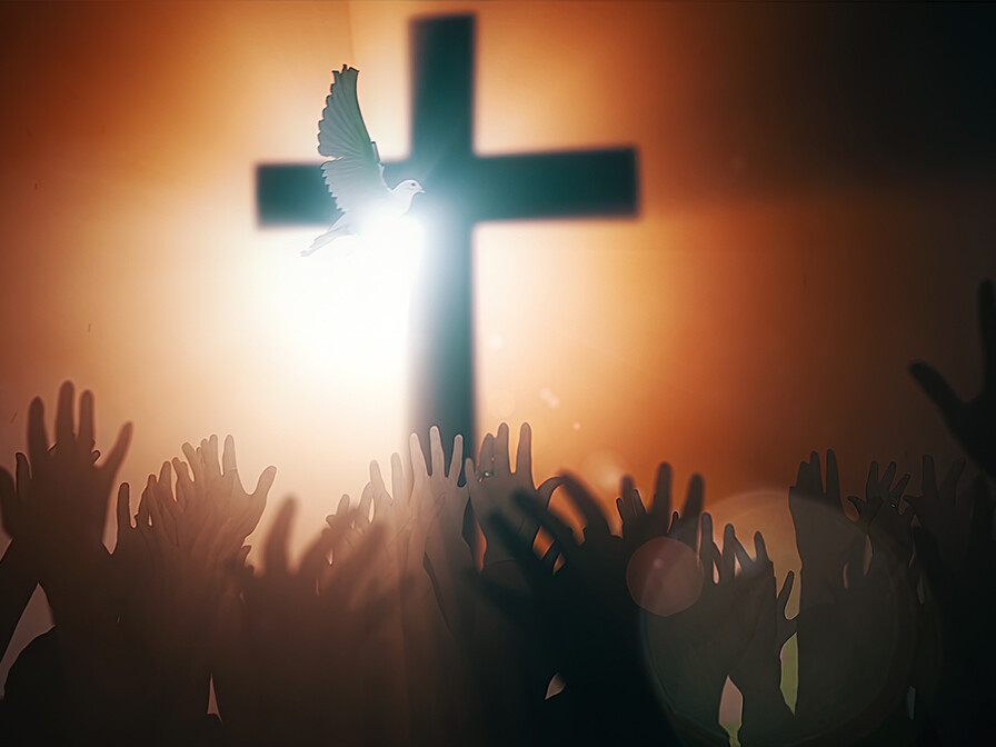 Everyday Miracles