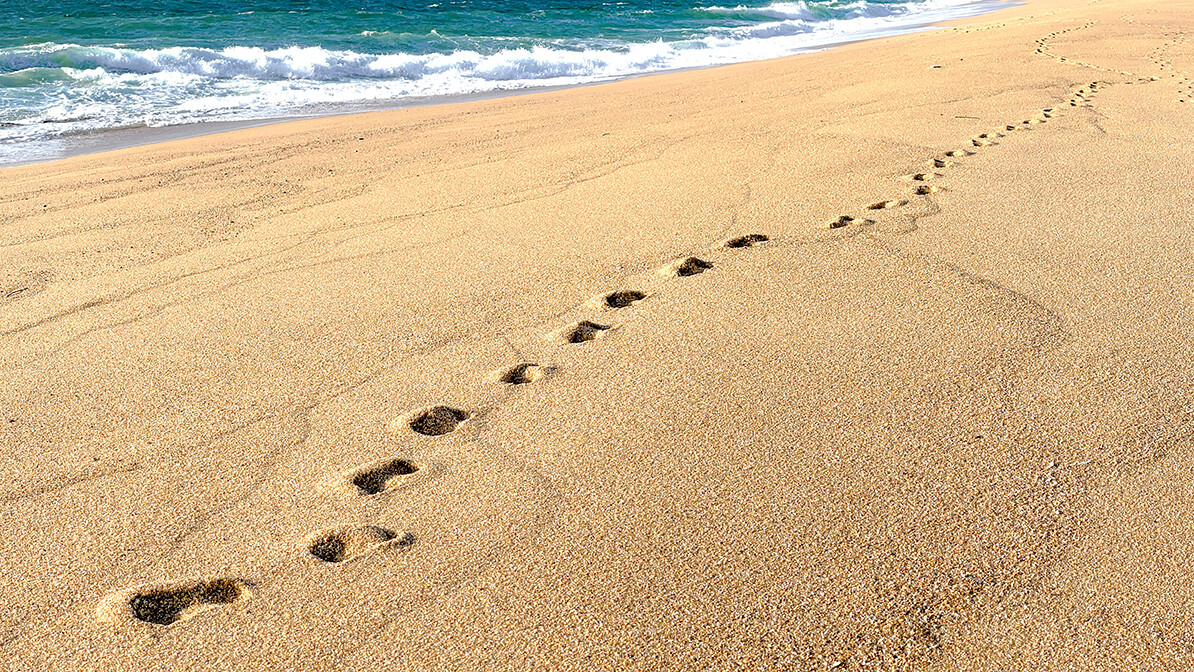 Walking in God's Purpose