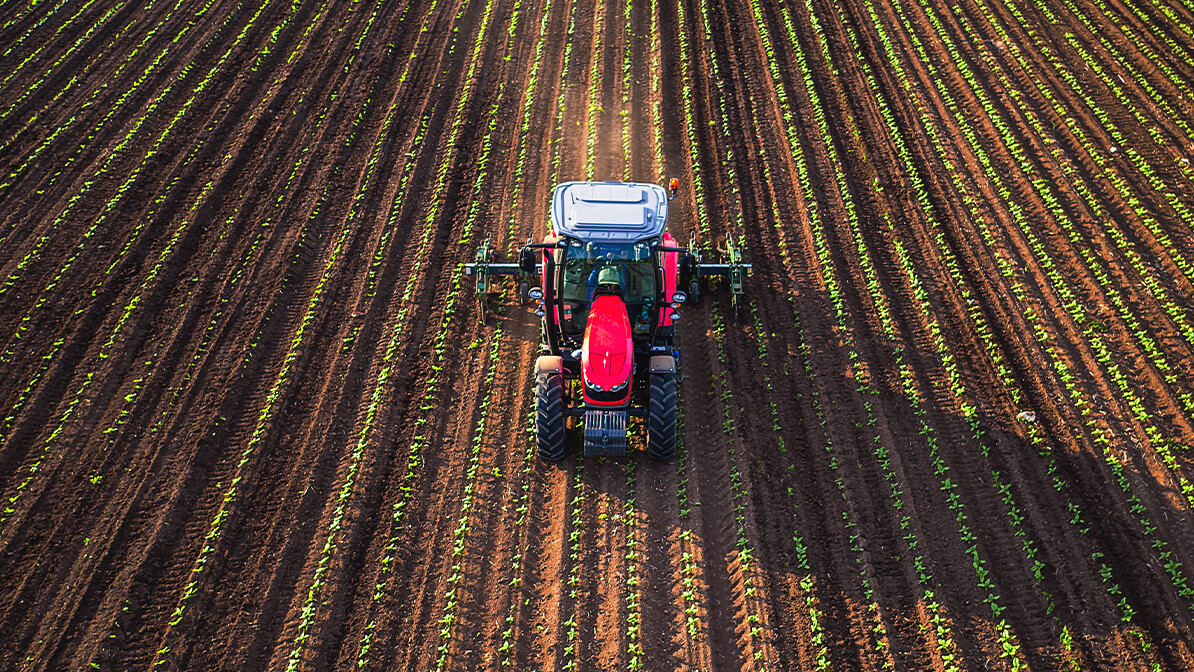 Continual Sowing