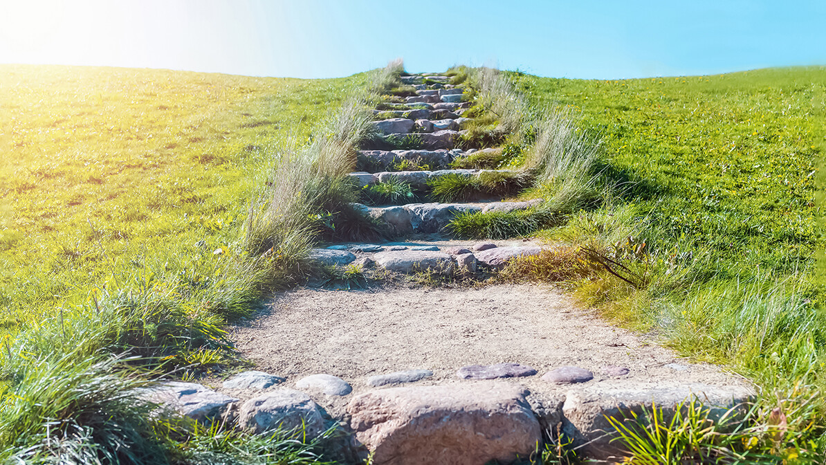 Rise Toward God's Presence