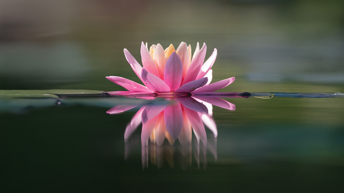 6 Keys to Calming Life's Storms