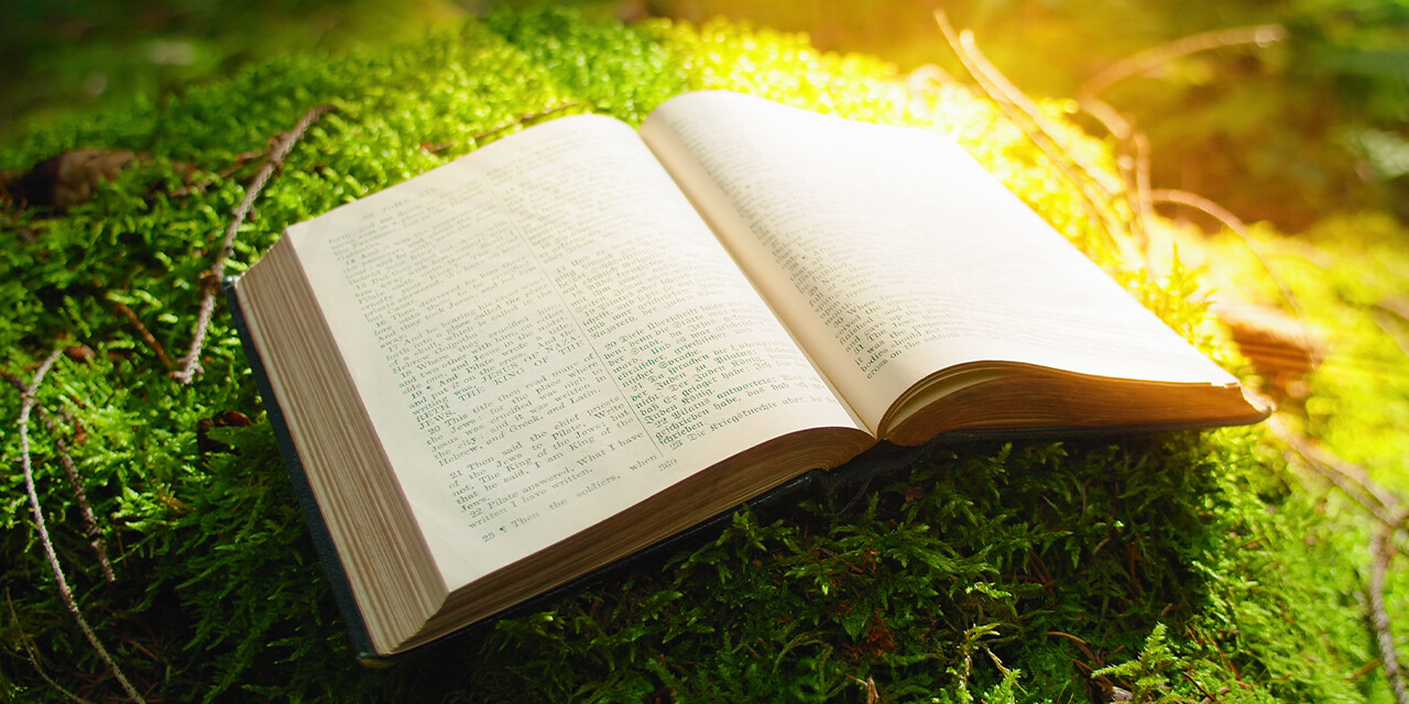 God's Word