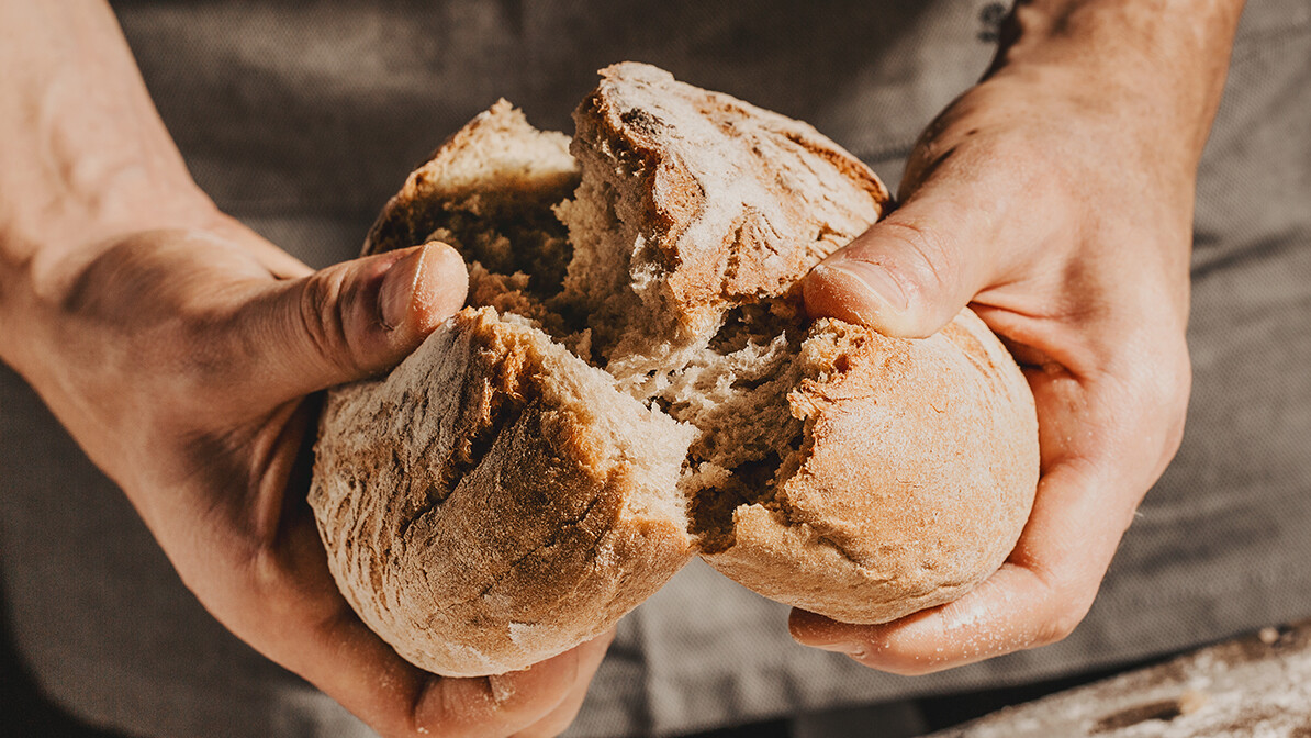 The Bread of Life