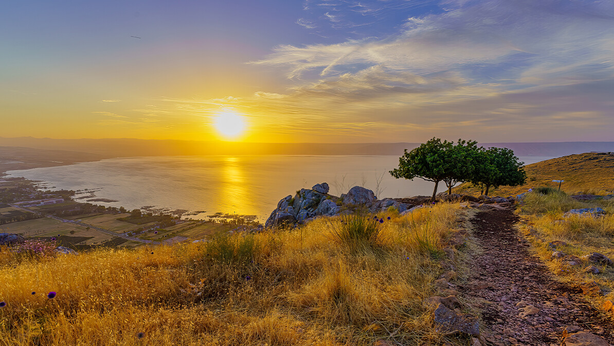 From Galilee