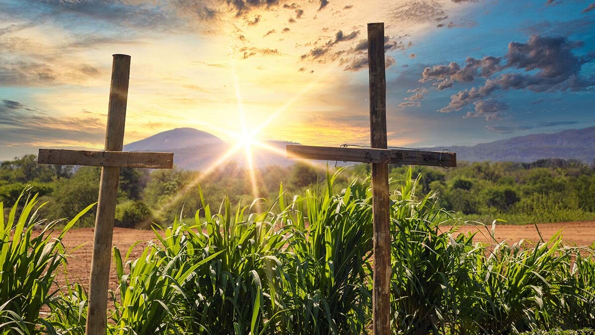 Heart for Africa Harvest for Eternity