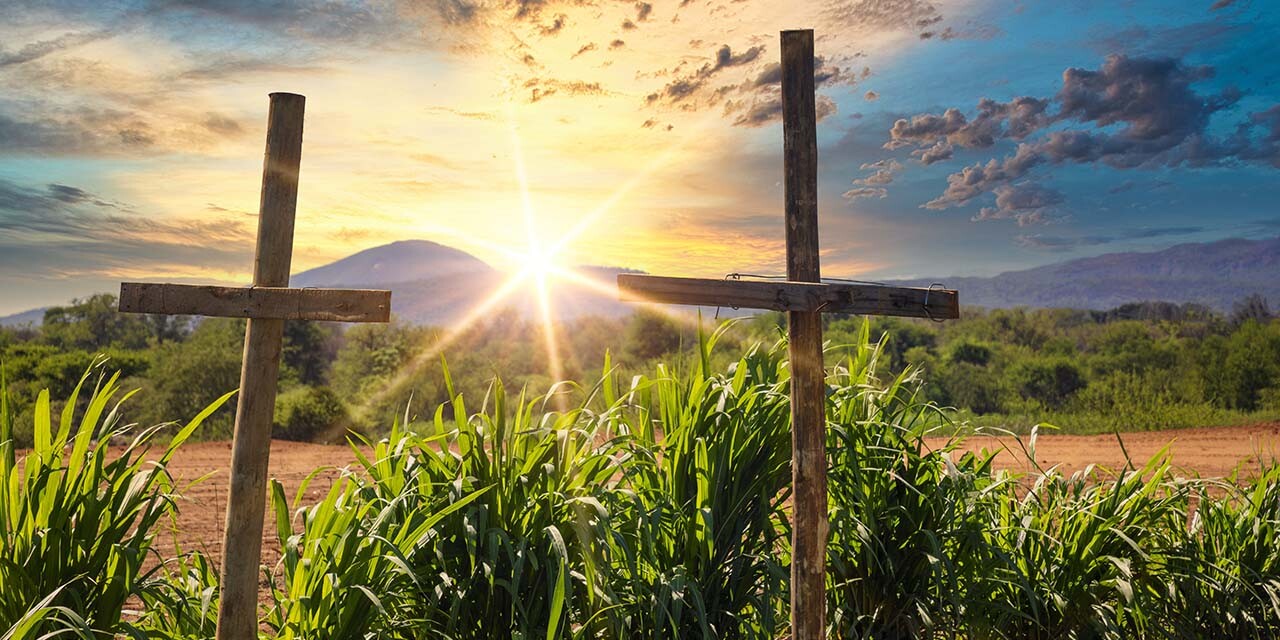 Heart for Africa Harvest for Eternity
