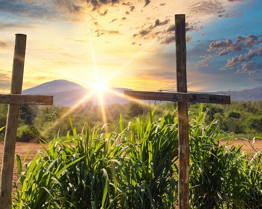 Heart for Africa Harvest for Eternity