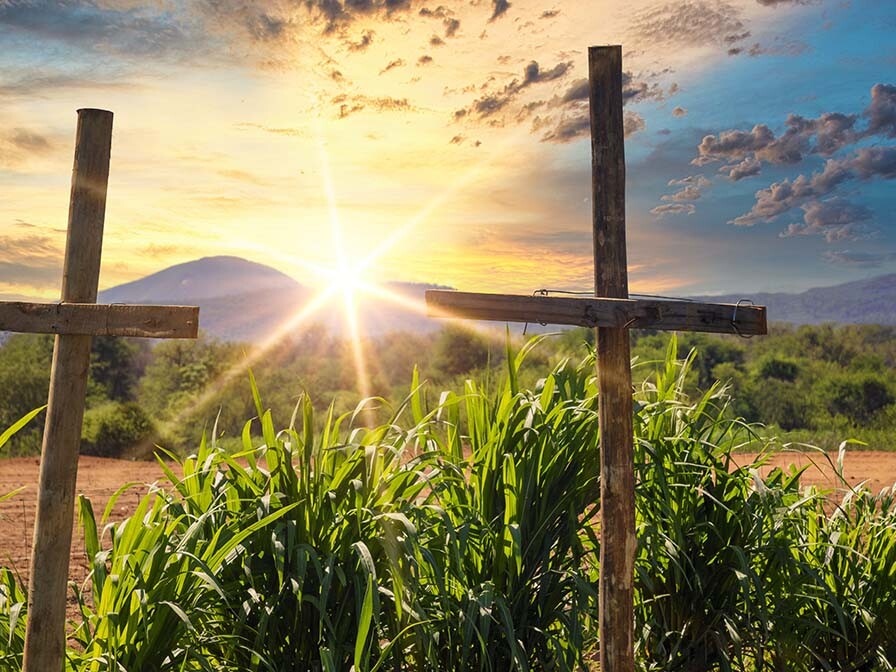Heart for Africa Harvest for Eternity
