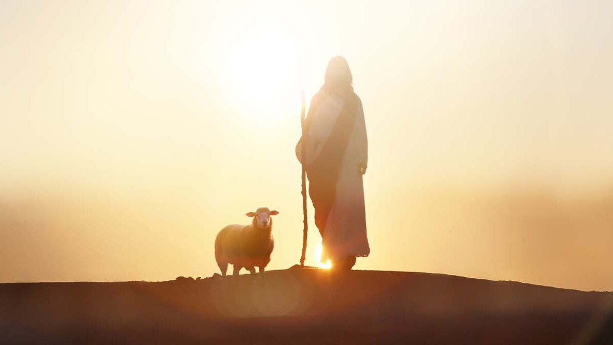 The Shepherd's Voice