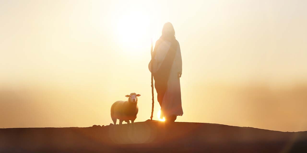 The Shepherd's Voice