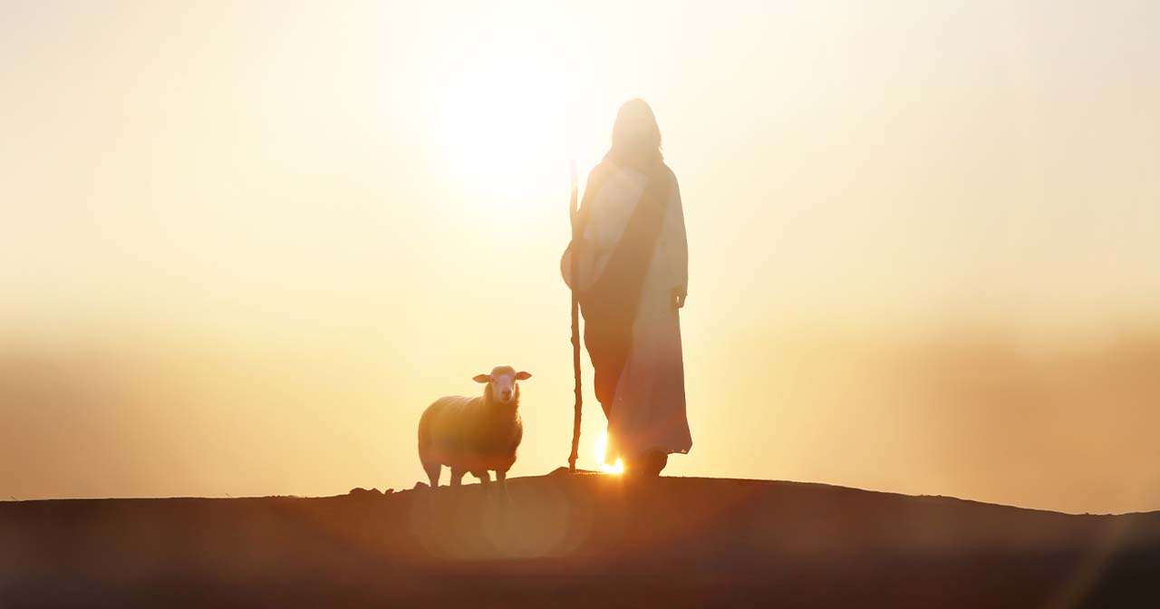 The Shepherd's Voice